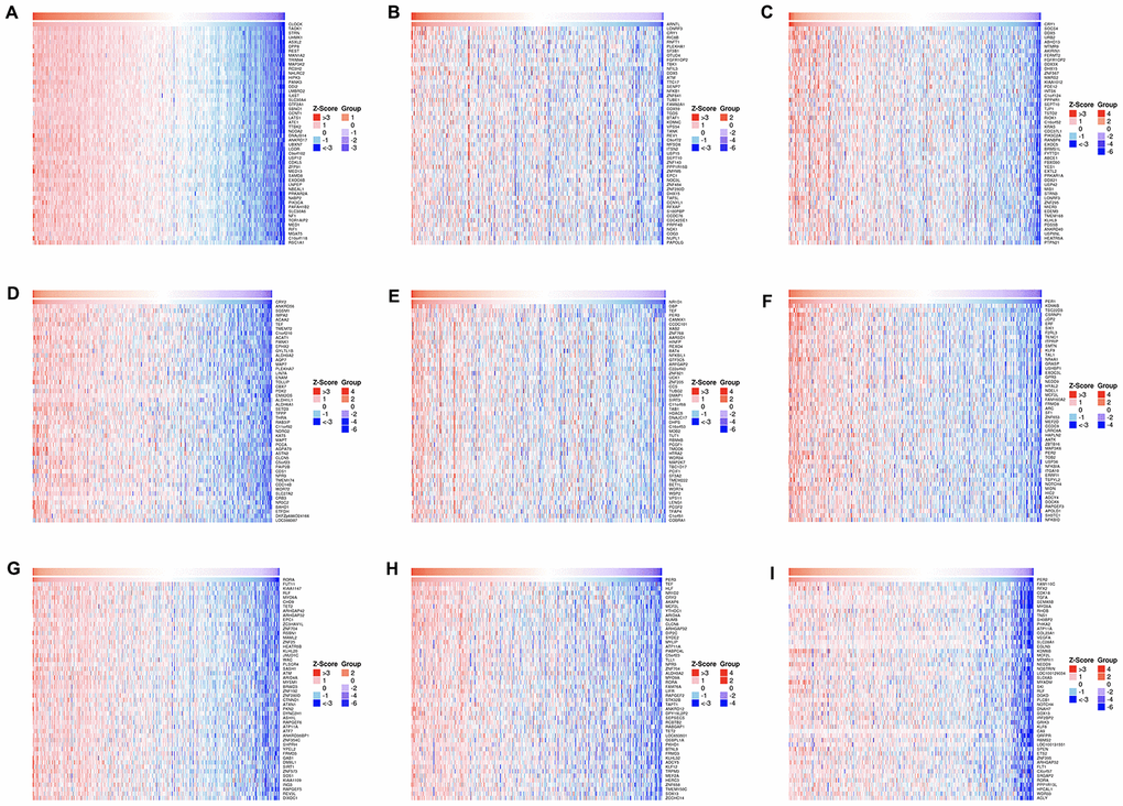 The top 50 genes most associated with circadian clock genes.