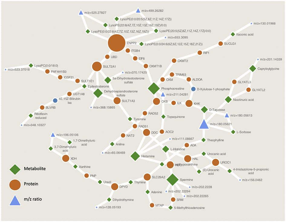 Metabolite network built through PIUMet. Key metabolite subnetworks centred around histamine, androgen and phospholipid metabolism, and phosphocreatine are highlighted as hubs for this ageing network.