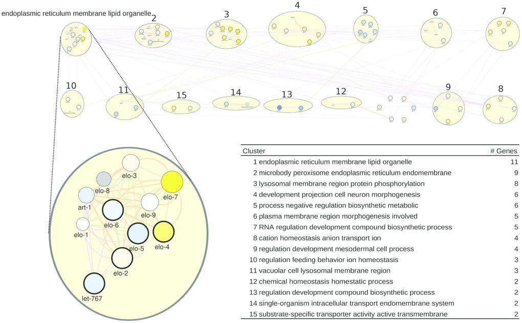 A healthspan pathway map for C. elegans, based on genes affected the most by healthspan-extending interventions, using WormBase gene expression data. See also Figures 1, 2.