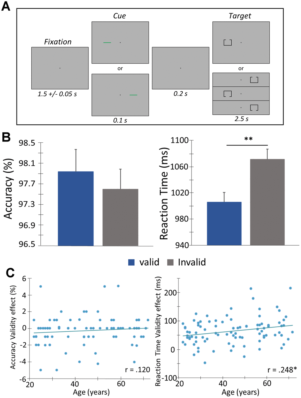 Posner cueing task and behavioral performance. (A) A central crosshair was presented for 1500 ms (± 50 ms), followed by a cue (green bar) that appeared in either the left or right hemifield for 100 ms. Target presentation (box with opening at the top or bottom) was presented 200 ms after cue offset, in either hemifield for 2500 ms. The cue was predictive of the upcoming target location 50% of the time (i.e., “valid” condition - presented on same side as the subsequent target). Participants completed 200 trials and were instructed to respond as to whether the opening was on the bottom (right index finger) or top (right middle finger) of the box. Trials were pseudorandomized and counterbalanced in regard to target validity (valid or invalid), visual hemifield (left or right), and box opening (top or bottom). (B) Behavioral metrics are displayed on the y-axis with conditions (valid or invalid) on the x-axis. Irrespective of age, participants were faster to respond and more accurate during valid compared to invalid trials. (C) Behavioral validity effect scores (invalid – valid) were computed for accuracy and reaction time and assessed as a function of age using Pearson correlations. There was a significant correlation among reaction time validity and age, such that as age increased, the difference in the reaction time between the two conditions (i.e., valid and invalid) increased. Error bars reflect the SEM. ** p 