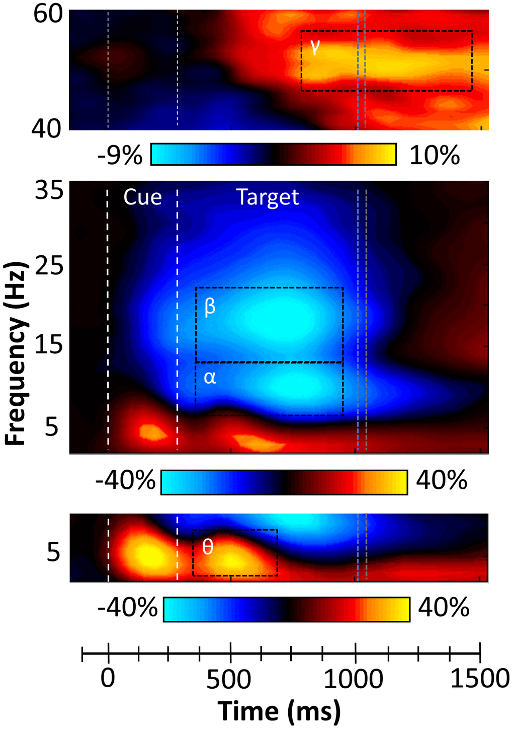 Sensor level time-frequency analysis. Grand averaged spectrograms for two sensors near parietal cortices with time (ms) displayed on the x-axis and frequency (Hz) denoted on the y-axis. Power is shown in percentage units relative to the baseline period (-600 to 0 ms), with a color scale bar beneath each spectrogram. The data per spectrogram have been averaged across all trials and participants. (Bottom) A strong increase in theta (3-7 Hz) power was observed following cue onset and during target processing (350-700 ms). (Middle) Strong decreases in alpha (8-14 Hz, 350-950 ms) and beta (14-22 Hz, 350-950 ms) power were also observed after the onset of the target. (Top) Robust increases in gamma (46-58 Hz) activity occurred during later target processing (850-1450 ms). All four oscillatory responses significantly differed from baseline activity in the same spectral band (p 