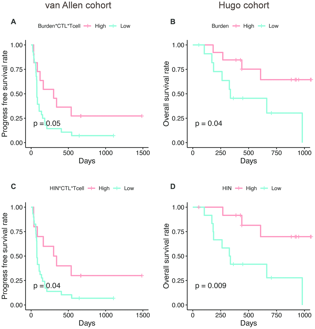The AS neopeptide is a potential biomarker for patient survival analysis. Neoantigen burden multiplying CTL and T cell abundance (Burden*CTL*Tcell) was associated with progress free survival in van Allen cohort (log-rank P=0.05, A) and neoantigen burden (Burden) was associated with improved overall survival (log-rank P=0.04, B) in Hugo cohort. When use high immune neopeptides (HIN) to predict survival, the separation became more significant in both van Allen cohort (HIN*CTL*Tcell, log-rank P=0.04, C) and Hugo cohort (HIN, log-rank P=0.009, D).