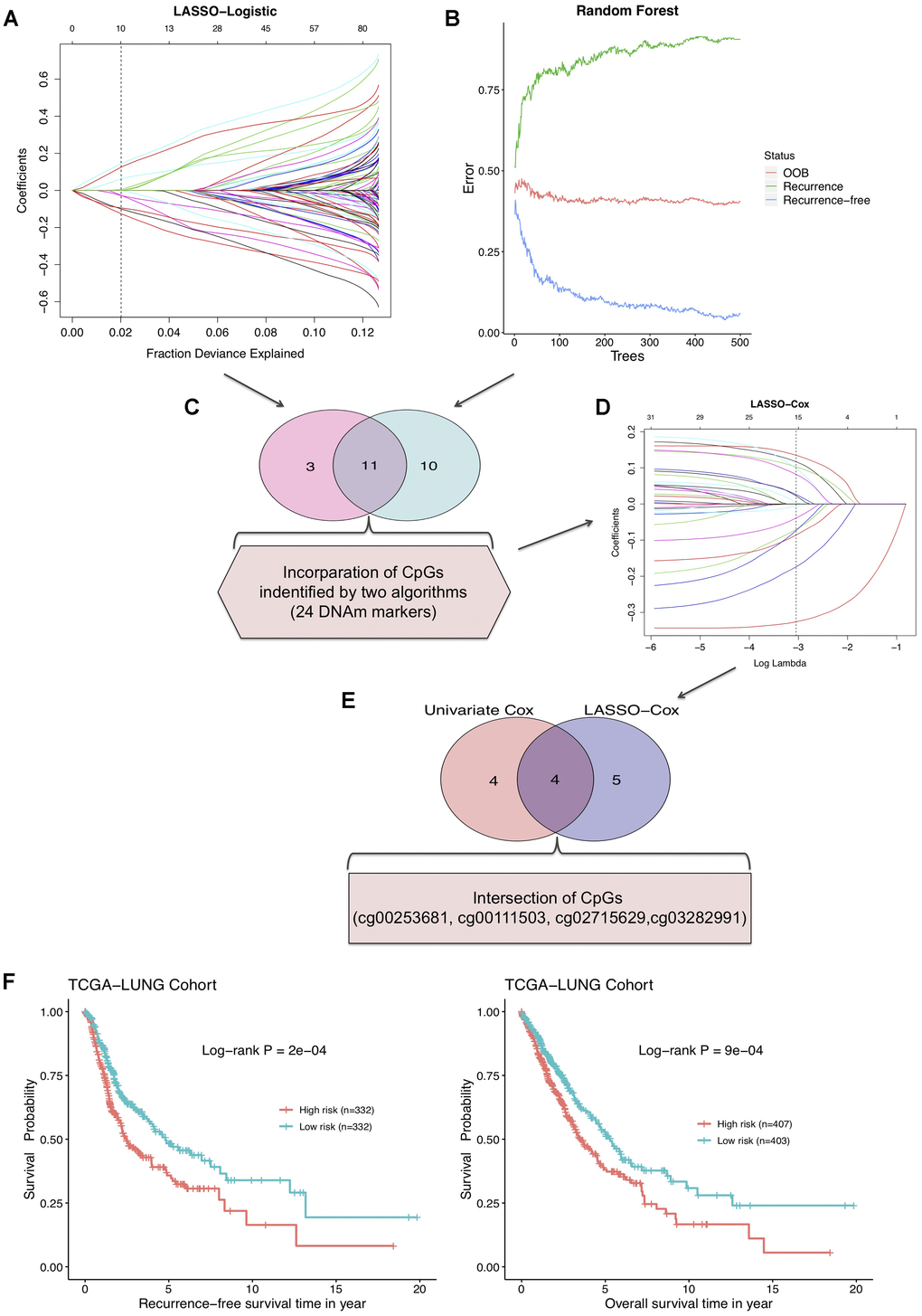 (A) LASSO-Logistic and (B) Random Forest methods applied to identify recurrence associated DNAm markers in training cohort. (C) A total of 11 overlapping CpGs and 24 combined CpGs in two algorithms. (D) LASSO-Cox analysis performed to select robust relapse predictive CpGs. (E) Four final identified CpGs in the intersection of univariate Cox and LASSO-Cox results. (F) The RFS curve (left) and overall survival curve (right) of training cohort based on 4-DNAm-maker panel.