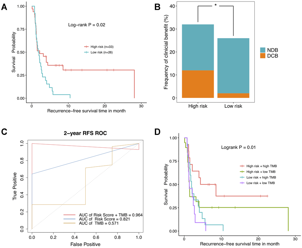 The relationship between DNA methylation signature and clinical response to immunotherapy investigated in GSE119144 cohort. (A) Relapse-free survival curves comparing high-risk with low-risk groups in NSCLC patients received anti-PD-1/PD-L1 therapies, according to DNAm-based risk score from validation set. (B) Proportion of clinical benefit to immunotherapy in the indicated groups stratified by our DNAm signature (DCB: durable clinical benefit and NDB: no durable benefit). (C) Time-dependent ROC curves for DNAm-based risk score, TMB, and risk score combined with TMB. (D) RFS curves of NSCLC patients with combinations of risk score and TMB.