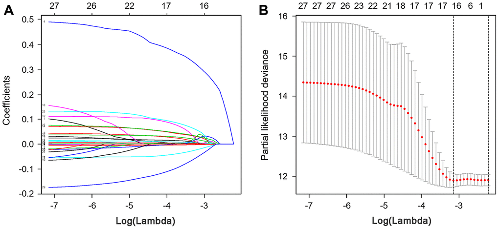 LASSO coefficient profiles of hub IRGs. The coefficient profiles (A) and partial likelihood deviance (B) of hub IRGs.