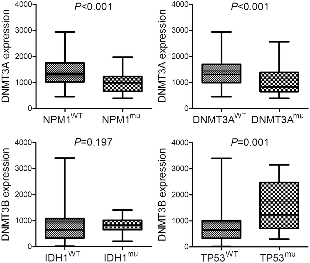The expression of DNMT3A and DNMT3B in AML patients with different molecular signature. The expression of DNMT3A in AML patients with and without NPM1 mutation as well as AML patients with and without DNMT3A mutation. The expression of DNMT3B in AML patients with and without IDH1 mutation as well as AML patients with and without TP53 mutation.