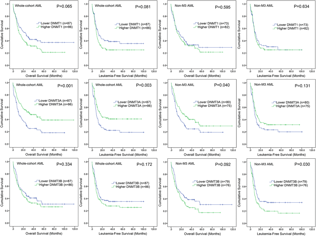 The impact of DNMTs expression on survival of AML patients. Kaplan–Meier survival curves of DNMTs expression on overall survival and leukemia-free survival in both chemotherapy and hematopoietic stem cell transplantation (HSCT) groups.
