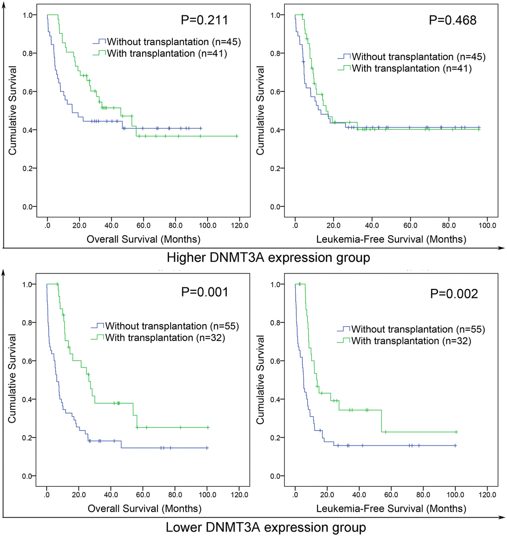 The effect of hematopoietic stem cell transplantation (HSCT) on survival of AML patients among different DNMT3A expression groups. Kaplan–Meier survival curves of overall survival and leukemia-free survival in low and high DNMT3A expression group.