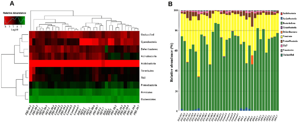 Effect of PSE on gut-microbiota composition of type 2 diabetic mice-induced by high-fat diet at phyma level. The heatmap of class level species abundance (A). Histogram of species profiling at the phyma classification level (B). Column height represents relative abundance.