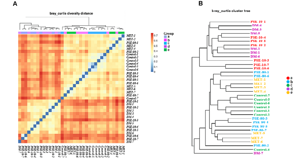 Effect of PSE on gut microflora of type 2 diabetic mice-induced by high-fat diet. The Bray Curtis heatmap of beta diversity analysis (A) and cluster analysis results of species composition (B). Letters a, b, c, d, and e in the graph represent the 10 mg/kg PSE-treated, 80 mg/kg PSE-treated, normal control, diabetes mellitus, and 140 mg/kg MET-treated groups, respectively.