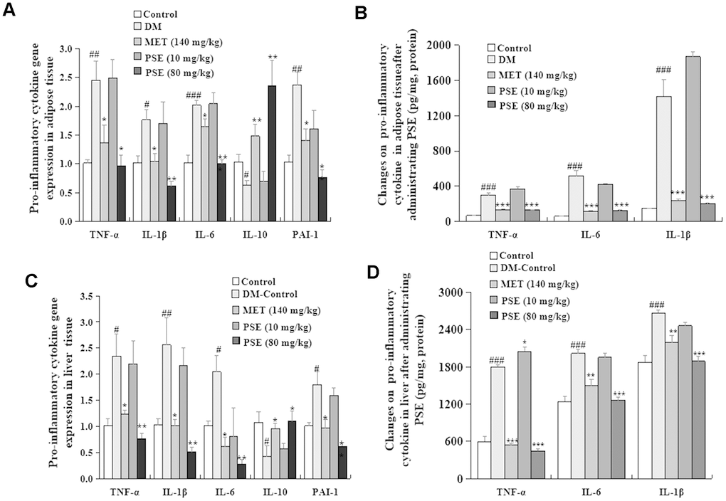 Effects of PSE on pro-inflammatory cytokine gene expression and pro-inflammatory cytokine protein level in the liver and adipose tissue of HFD-induced diabetic mice. The change in pro-inflammatory cytokine gene expression (A) and pro-inflammatory cytokine at the protein level (B) in the liver of HFD-induced diabetic mice after administering PSE at 10, 80, and 160 mg/kg for 6 weeks, respectively. The change in pro-inflammatory cytokine gene expression (C) and pro-inflammatory cytokine at the protein level (D) in the adipose tissue of HFD-induced diabetic mice after administering PSE at 10, 80, and 160 mg/kg for 6 weeks, respectively. Each value was expressed as the mean ± SEM of 10 mice. #, ##, and ### represent significant difference compared to the control group at p *, **, and *** indicate significant difference compared to the DM group at p 