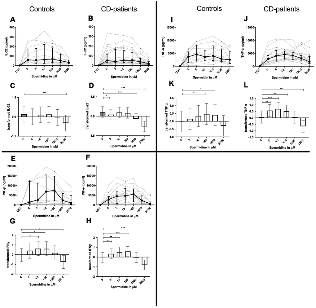 Cytokine data (IL-22, INF-γ, TNF-α) of pre-stimulated T-cell (24 hours) treated with and without Spermidine (in pg/ml) for 48 hours in cognitive decline patients and controls. Cytokines – IL-22, INF-γ, TNF-α – were measured by Legend-plex (Biolegend) in culture supernatants after 48 hours of Spermidine treatment. T-cells were pre-stimulated by CD3/CD28 antibodies for 24 hours before polyamine usage. Spermidine was used in the following concentrations: 5μM, 10μM, 100μM, 1000μM, 2000μM. Unstimulated cells (UST) were measured as control. The data sets were not Gaussian-distributed and therefore transformed by R studio orderNorm using the bestNormalize package and analyzed. Raw data (individual data, median + interquantile ranges) (A, B, I, J, E, F) and transformed data are given (mean with lower and upper confidence limits, C, D, K, L, G, H). ncontrol = 12; nCD-patient = 20 * p