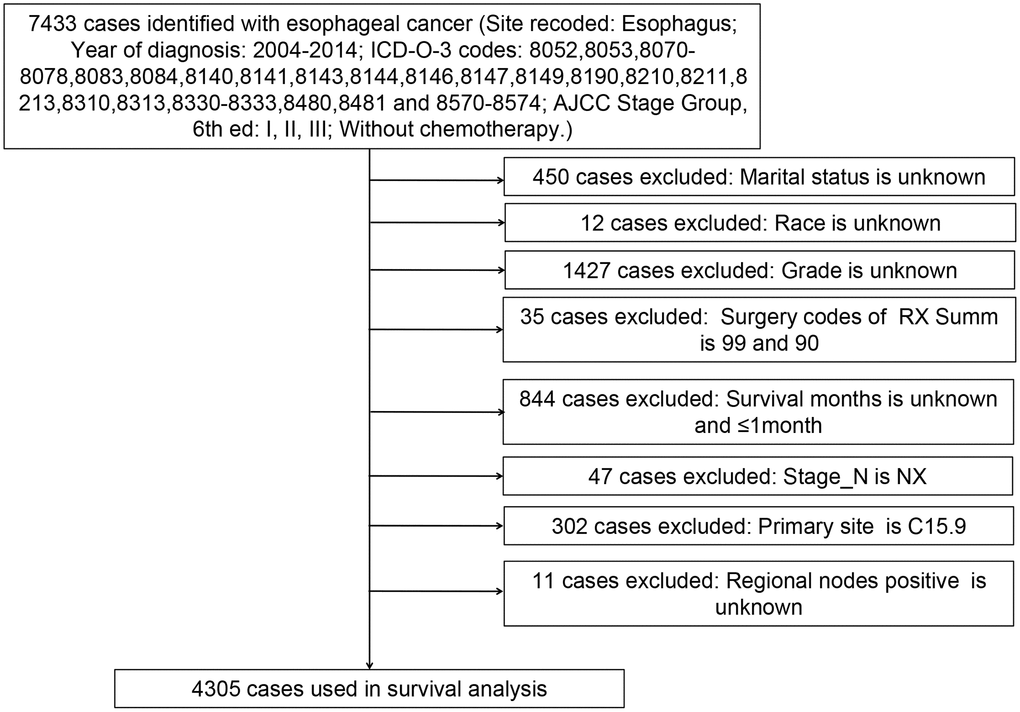 Flow diagram of esophageal cancer patient selection from the SEER database between 2004 and 2014.