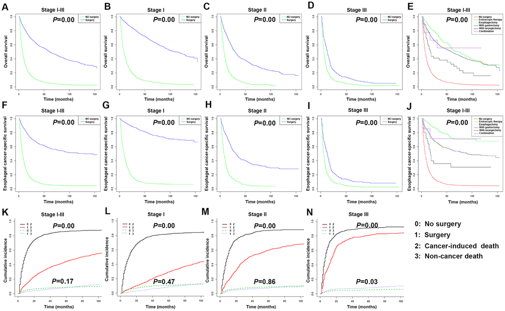 Kaplan-Meier survival analyses for overall survival (OS) and esophageal cancer-specific survival (ECSS) in stages I-III esophageal cancer (EC) patients underwent different types of surgery. (A) Survival curve for OS in stages I-III EC patients. (B) Survival curve for OS in stage I EC patients. (C) Survival curve for OS in stage II EC patients. (D) Survival curve for OS in stage III EC patients. (E) Survival curve for OS based on surgery type in stages I-III EC patients. (F) Survival curve for ECSS in stages I-III EC patients. (G) Survival curve for ECSS in stage I EC patients. (H) Survival curve for ECSS in stage II EC patients. (I) Survival curve for ECSS in stage III EC patients. (J) Survival curve for ECSS based on surgery type in stages I-III EC patients. (K) Competitive risk of cancer-induced deaths and non-cancer-related deaths of stages I-III EC patients. (L) Competitive risk of cancer-induced deaths and non-cancer-related deaths of stage I EC patients. (M) Competitive risk of cancer-induced deaths and non-cancer-related deaths of stage II EC patients. (N) Competitive risk of cancer-induced deaths and non-cancer-related deaths of stage III EC patients.