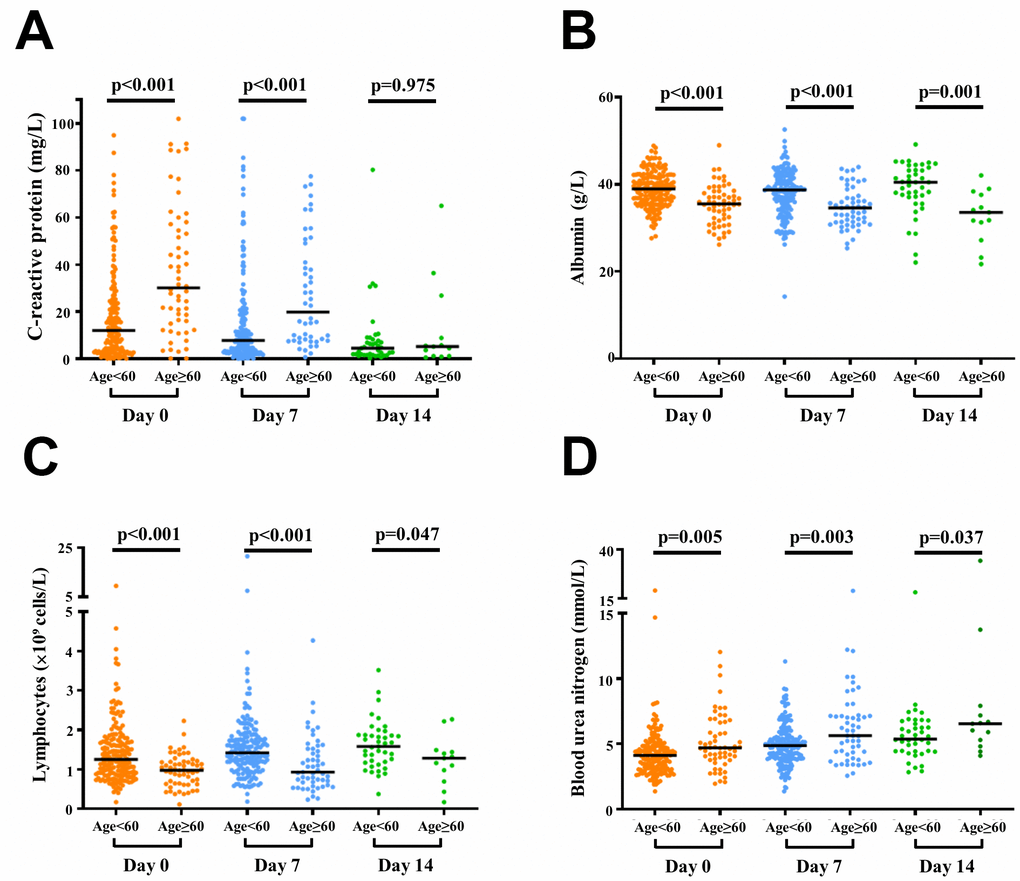 Dynamics of laboratory biomarkers of 239 SARS-CoV-2 cases. Scatter plots of C-reactive protein (A), albumin (B), lymphocytes (C), and blood urea nitrogen (D) in older and younger patients are illustrated on days 0, 7, and 14. Blood tests on days 0, 7, and 14 were conducted for 239, 229, and 54 patients, respectively. Laboratory biomarkers on day 14 were assessed for 54 patients who had positive SARS-CoV-2 and remained in hospital on day 14.