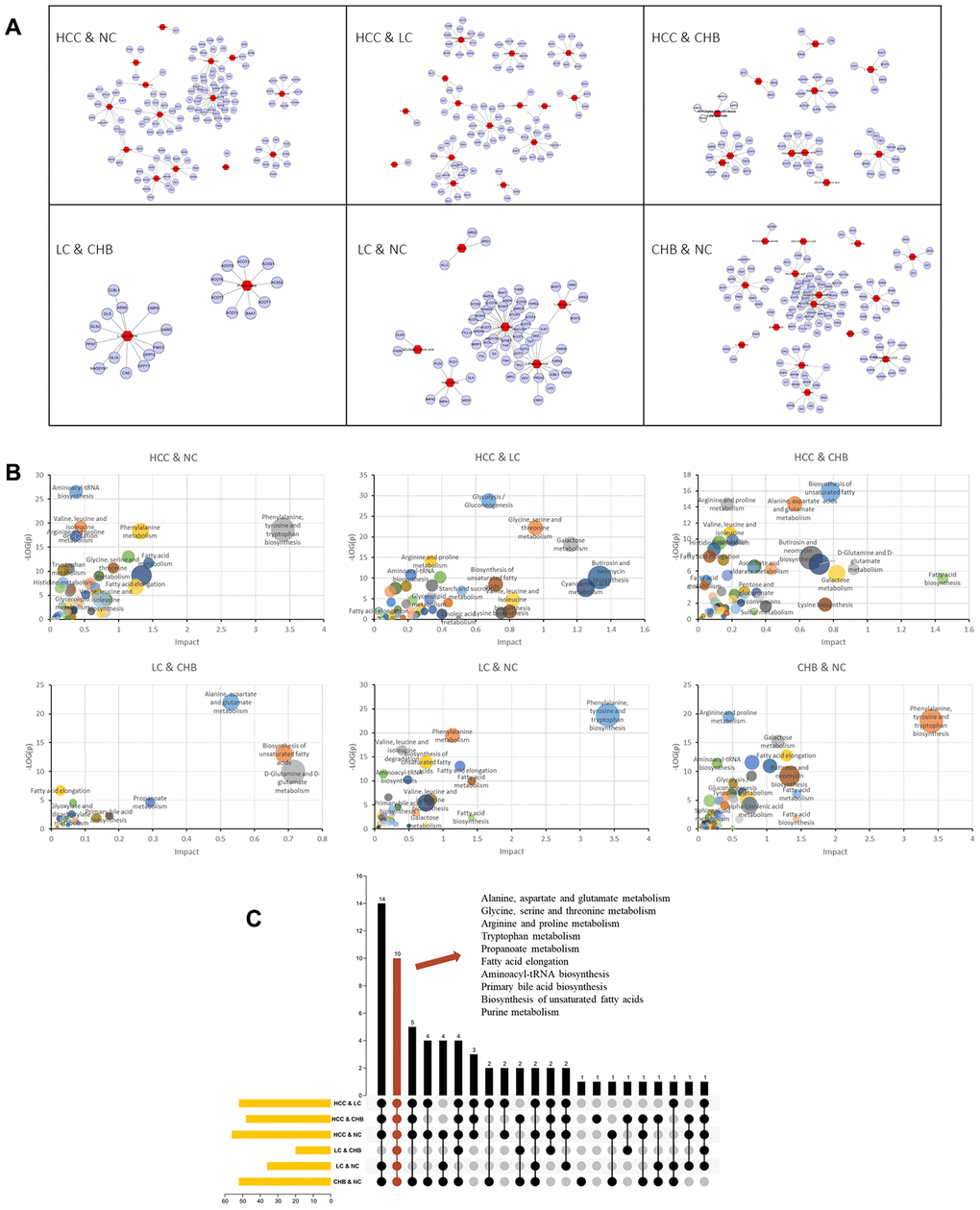 Genes and KEGG pathways related to DMs. (A) DM-gene interaction networks. The red triangles represent DMs. The blue circles represent metabolic enzyme genes. (B) Jointly pathway of DMs and related genes. Abscissa represents the pathway impact. Ordinate represents -log (p). (C) Upset plot presents the common KEGG pathways among NC, CHB, LC and HCC. The bar chart at the bottom left represents the number of pathways included in each group. The yellow bar chart above represents the number of common pathways in each intersection. Red indicates the intersection of all group.