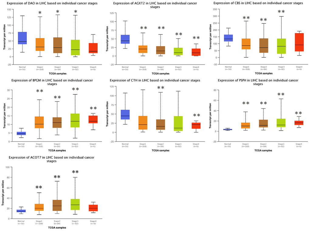 Correlation between the expressions of AGXT2, DAO, CTH, BPGM, CBS, PSPH, and ACOT7 mRNAs and Individual cancer stages in HCC. *P P 