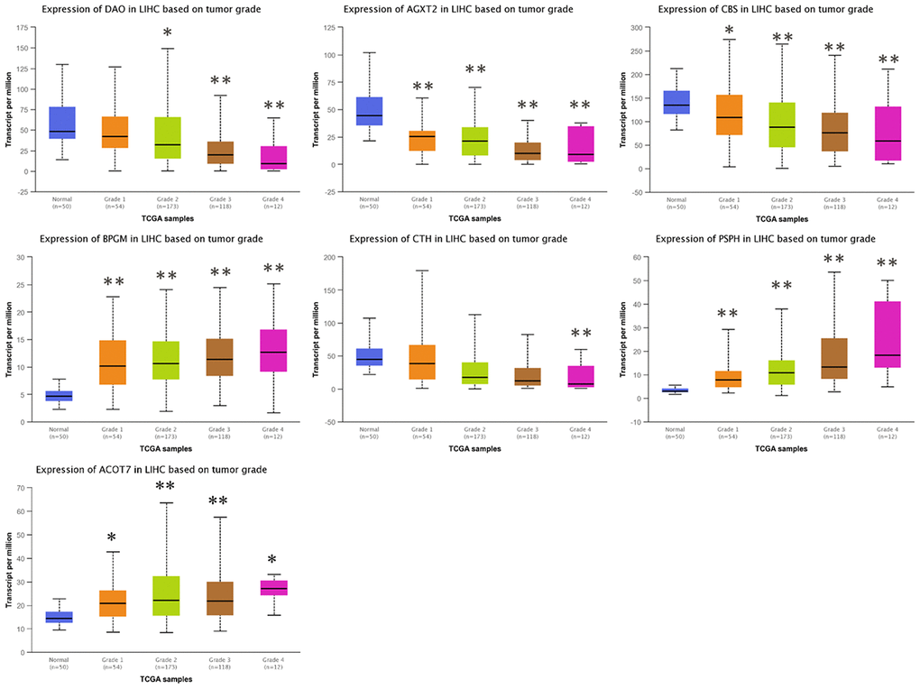 Correlation between the expressions of AGXT2, DAO, CTH, BPGM, CBS, PSPH, and ACOT7 mRNAs and Tumor grade in HCC. *P P 