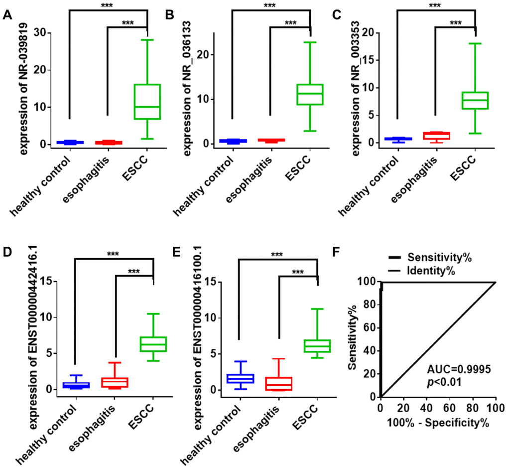 Exosome lncRNA expression signature for ESCC diagnosis. (A–E) Differences in plasma exosome lncRNAs levels in ESCC patients, esophagitis patients, and healthy controls. Each point represents the mean of triplicate samples. Each P-value was calculated with a nonparametric Mann-Whitney test. ***PF) ROC curve analysis of the combined lncRNA panel in exosomes from ESCC patients and non-cancer controls (including healthy controls and esophagitis patients). Each value is the mean±SD; ***P 