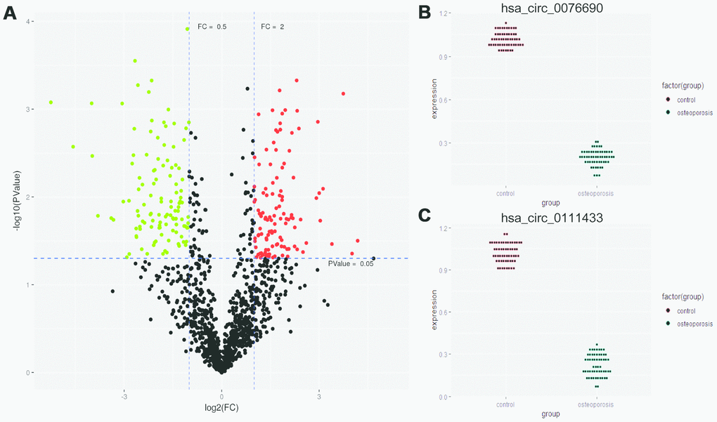 (A) Differentially expressed circRNAs were demonstrated by volcano plot (red: up-regulation green: down-regulation). (B, C) The down-regulation of hsa