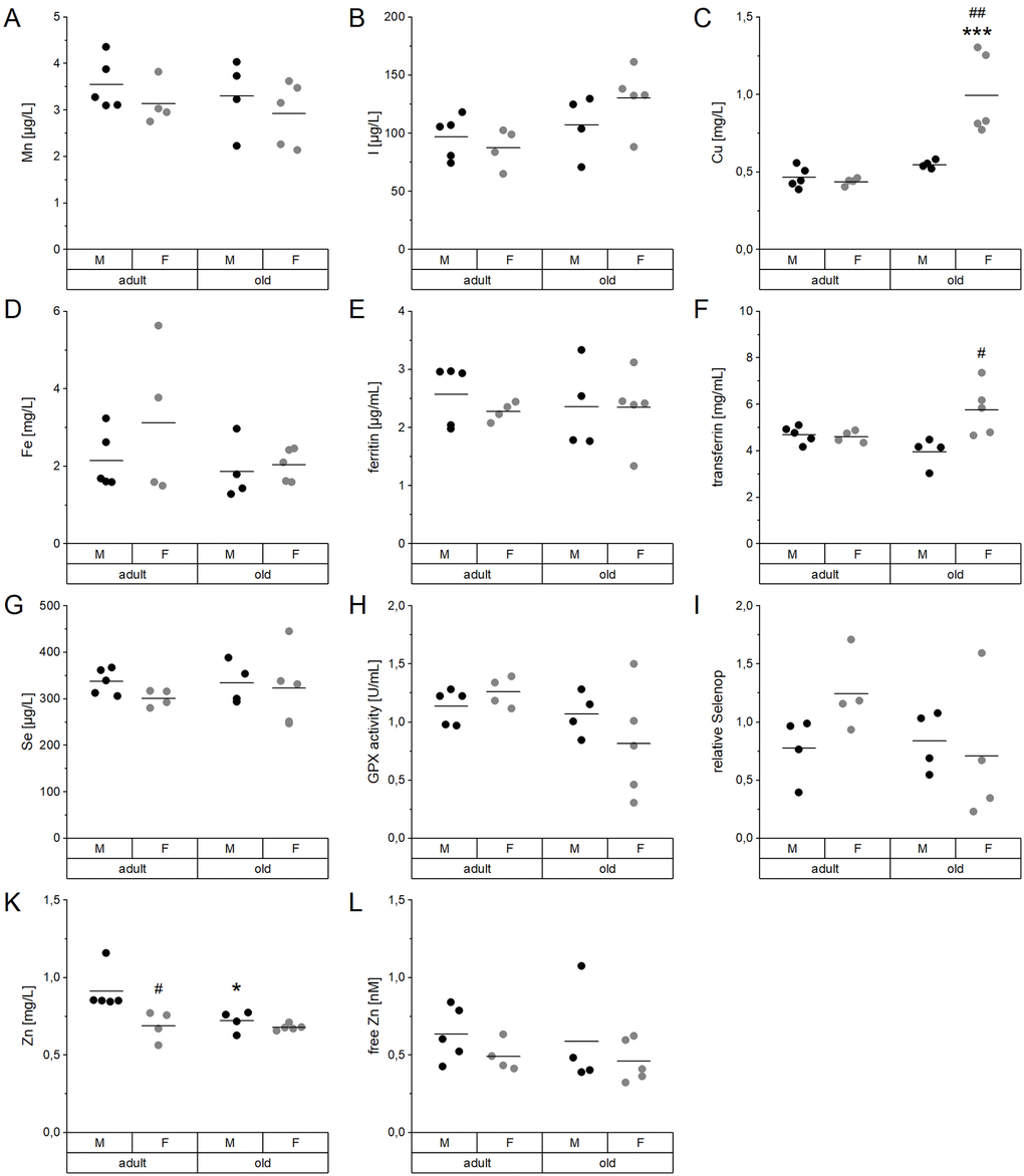 Age- and sex-related changes of serum TE profiles and biomarkers. Concentrations of Mn (A), I (B), Cu (C), Fe (D), Se (G), and Zn (K) were analyzed in the serum of adult (24 weeks) and old (109-114 weeks) male and female C57BL/6Jrj mice (n = 4-5) receiving chow diet. Serum concentrations were determined using ICP-MS/MS (A-D, G, K). Further biomarkers were detected by ELISA (E, F) and fluorescent probes (L) to assess the Fe marker ferritin (E) and transferrin (F) as well as free Zn (L), respectively. The Se status was further validated by GPX activity (H) and relative Selenop levels (I), based on NADPH-consuming glutathione reductase coupled assay and Dot blot analysis, respectively. Statistical testing based on Two-Way ANOVA and post hoc analysis using Bonferroni’s test with * p # p ## p 
