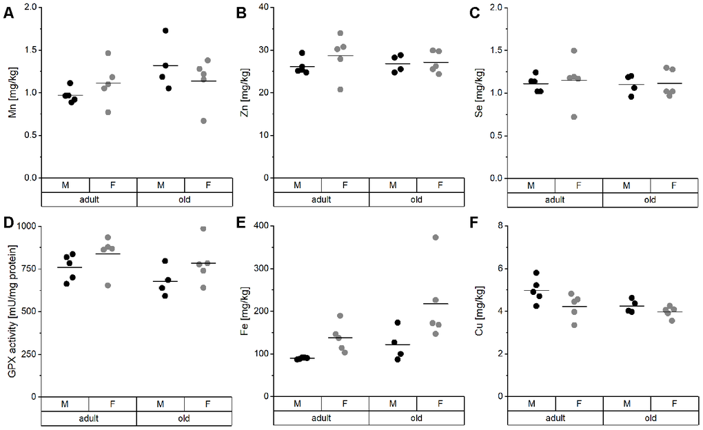 TE profile analysis in the liver of mice. Liver tissue of adult (24 weeks) and old (109-114 weeks) male and female C57BL/6Jrj mice (n = 4-5) receiving chow diet were analyzed for their concentrations of Mn (A), Zn (B), Se (C), Fe (E), and Cu (F) using ICP-MS/MS. Furthermore, Se-sensitive GPX activity was assessed by NADPH-consuming assay (D). Statistical testing based on Two-Way ANOVA and post hoc analysis using Bonferroni’s test revealed no significant differences for age and sex.
