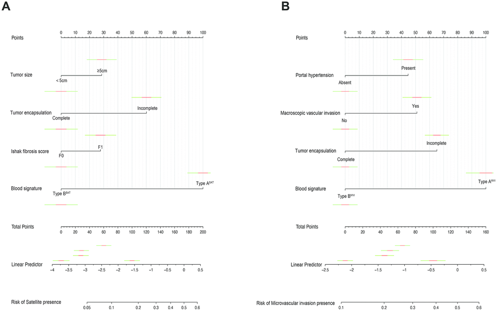 Nomograms for predicting SAT and MVI and the calibration plot. (A). The nomogram maps the predicted probability of SAT on a scale of 0 to 200. (B). The nomogram maps the predicted probability of MVI on a scale of 0 to 160. For each covariate, a vertical line is drawn upwards and the corresponding points are noted. This is repeated for each covariate, ending with a total score that corresponds to a predicted probability of SAT or MVI at the bottom of the nomogram.