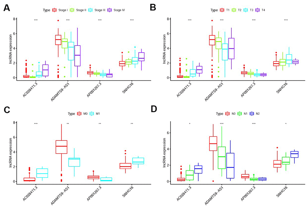 The relationships between the sIRlncRs and clinicopathological features. Relationships between sIRlncRs (AP001267.3, AC026471.3, SNHG16 and ADAMTS9-AS1) and clinicopathological features. The expression of AC026471.3 and SNHG16 were gradually increased in the more advanced stage (A), T-stage (B), M-stage (C) and N-stage (D), while the expression levels of AP001267.3 and ADAMTS9-AS1 were gradually decreased. (*PPP 