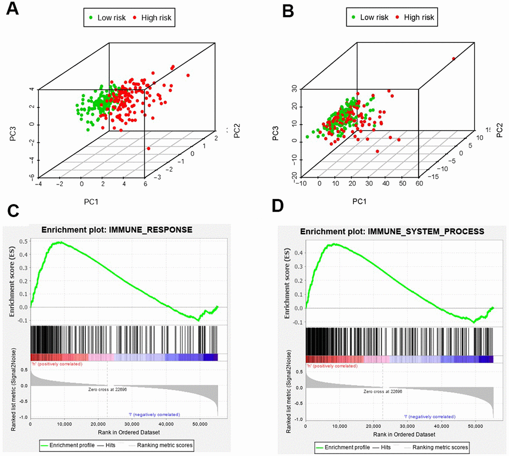 The analysis of immune status of the high-risk and low-risk population by PCA and GSEA. PCA of the high-risk group and the low-risk group was conducted based on the immune related gene sets (A). PCA of the high-risk group and the low-risk group was performed based on the whole protein-coding gene sets (B). GSEA implied remarkable enrichment of immune-related phenotype in the high-risk group (C and D). The Normalized Enrichment Score (NES) were 1.58 and 1.59 respectively.
