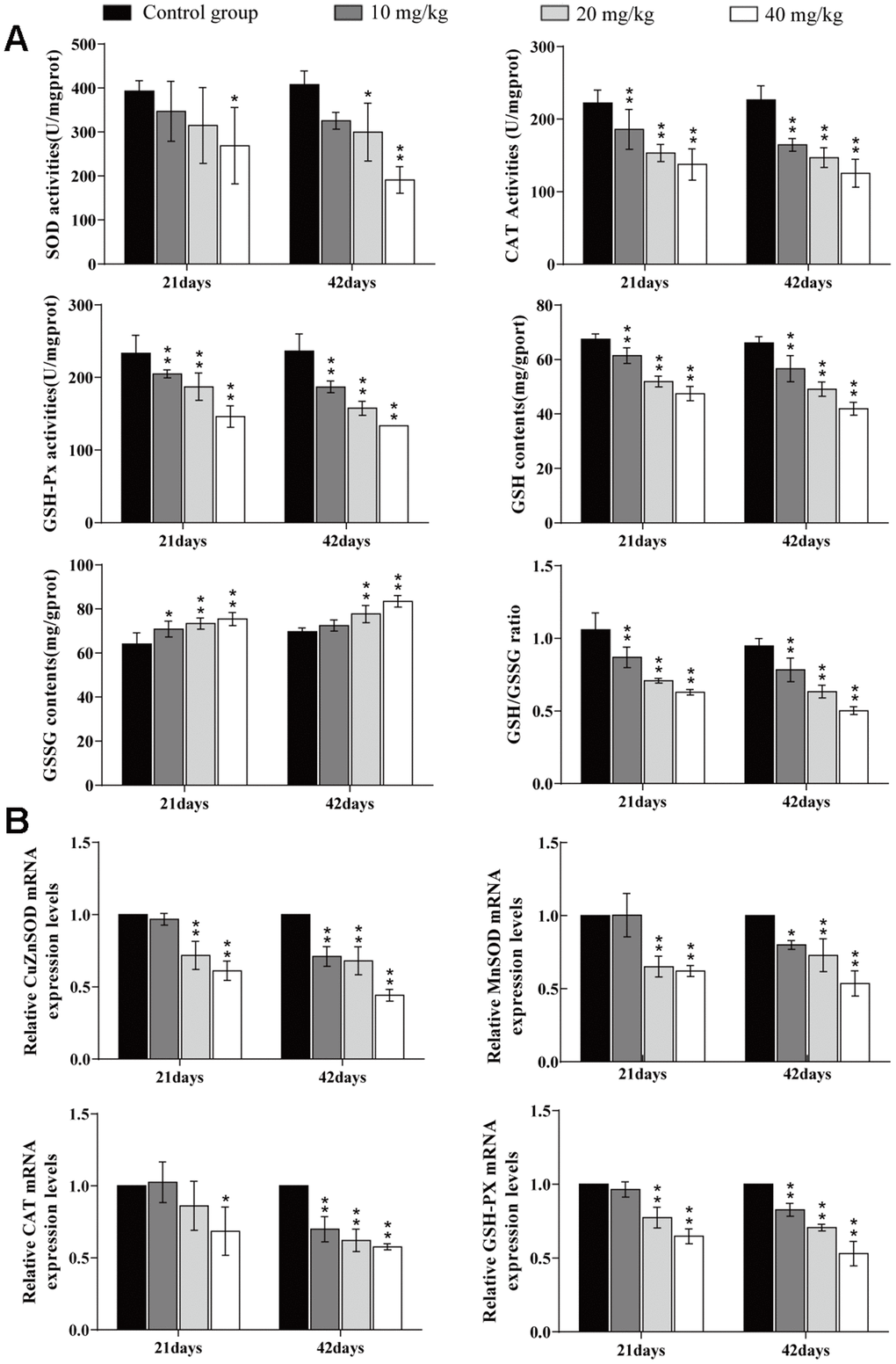 Changes of oxidative damage parameters in the lung. (A) Changes of antioxidant enzyme activities, GSH and GSSG contents, and GSG/GSSG ratio in the lung at 21 and 42 days of the experiment. (B) Changes of mRNA expression levels of antioxidant enzymes in the lung. Data are presented with the mean± standard deviation (n=8). *p 