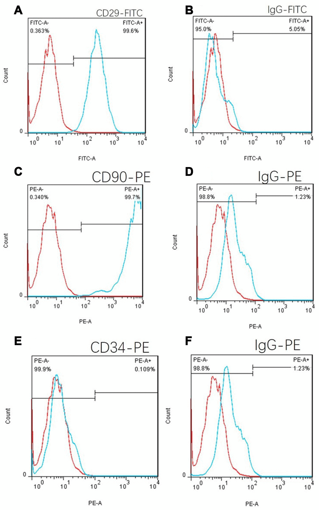 Cell flow phenotypic results of the adherent culture of umbilical cord tissue in C57 mice. (A) The positive rate of CD29 was 99.6%. (B) FITC isotype control. (C) The CD90 positive rate was 99.7%. (E) The positive rate of CD34 was 0.109%, which is in line with the phenotypic characteristics of mouse mesenchymal stem cells. (D) and (F): PE isotype control.