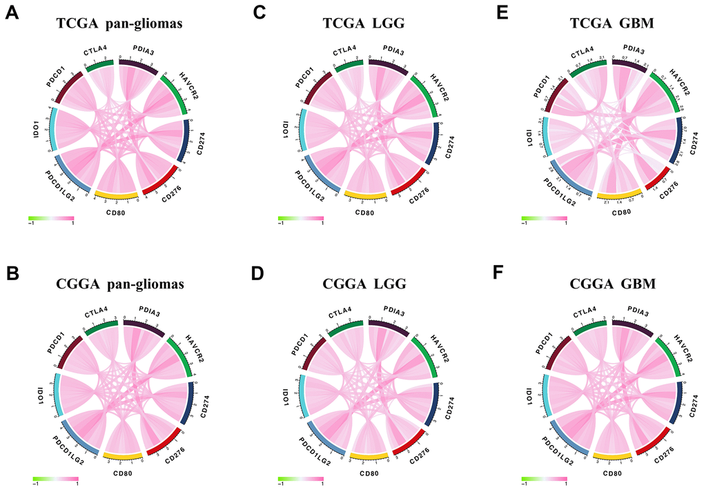 Correlation between PDIA3 and immune checkpoint members. PDIA3 is relevant to other immune checkpoint molecules in pan-gliomas (A, B), LGG (C, D), and GBM (E, F) from TCGA (upper row) and CGGA (lower row) datasets.