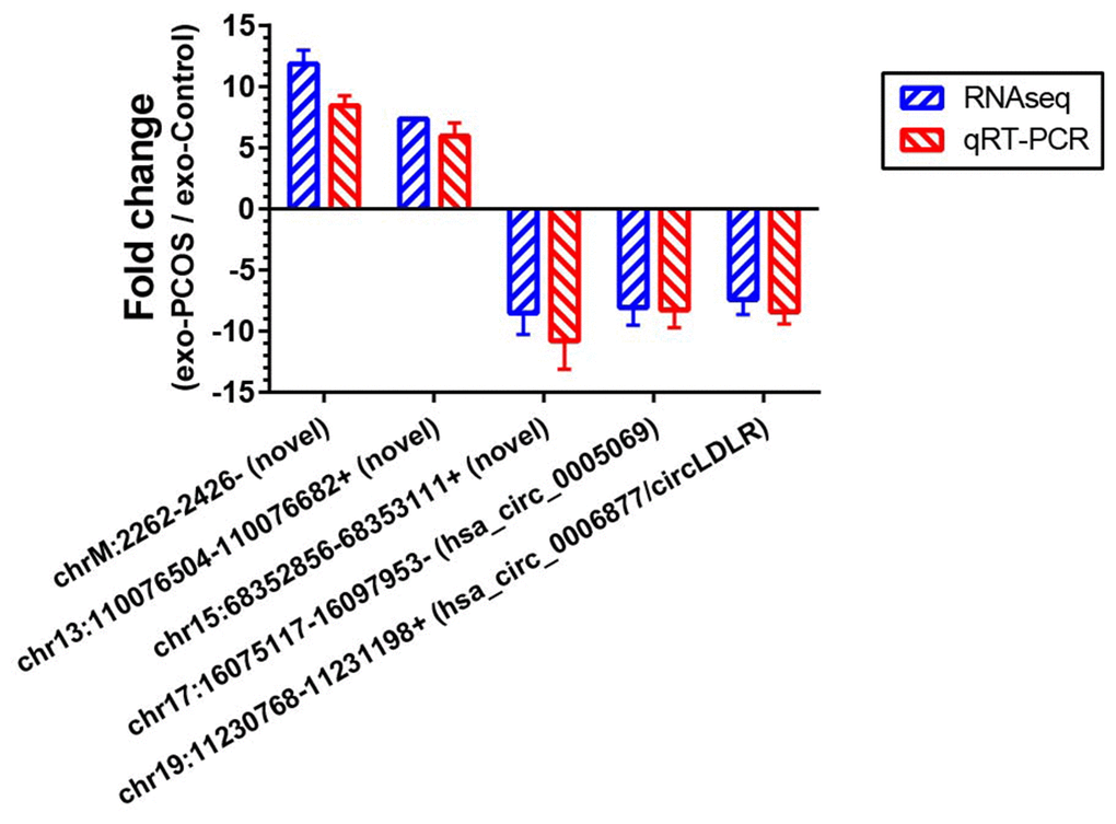 Validation of the RNA sequencing results by qRT-PCR. Five differentially expressed circRNAs (chr17:16075117-16097953-/ hsa