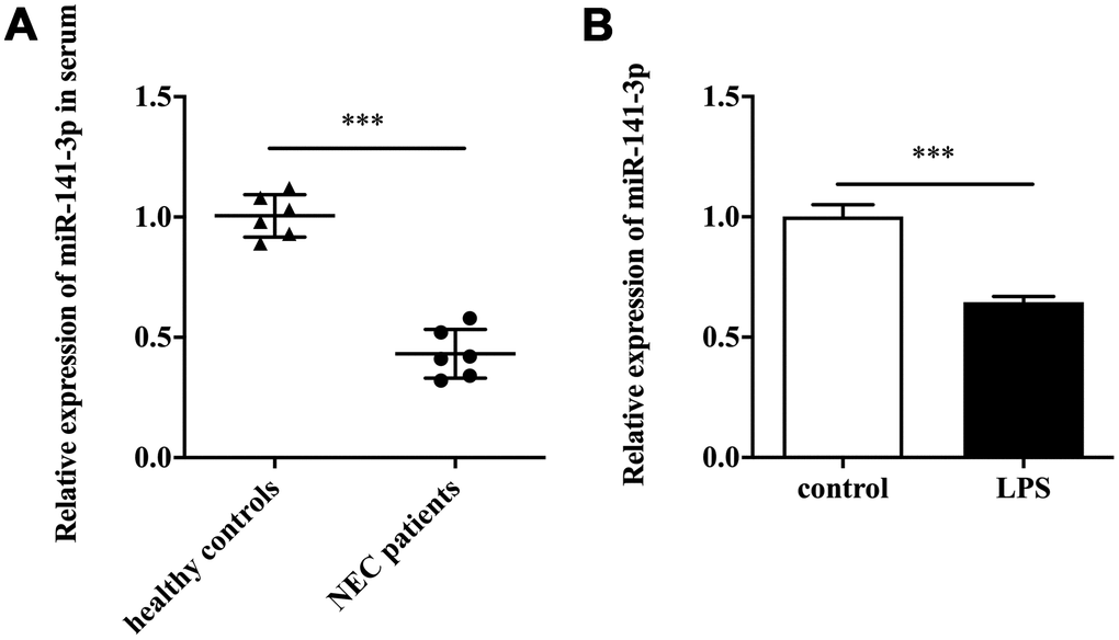 MiR-141-3p was downregulated in NEC. (A) The expression of miR-141-3p in serum samples of newborns with NEC. (B) The expression of miR-141-3p in NEC cell model. ***p