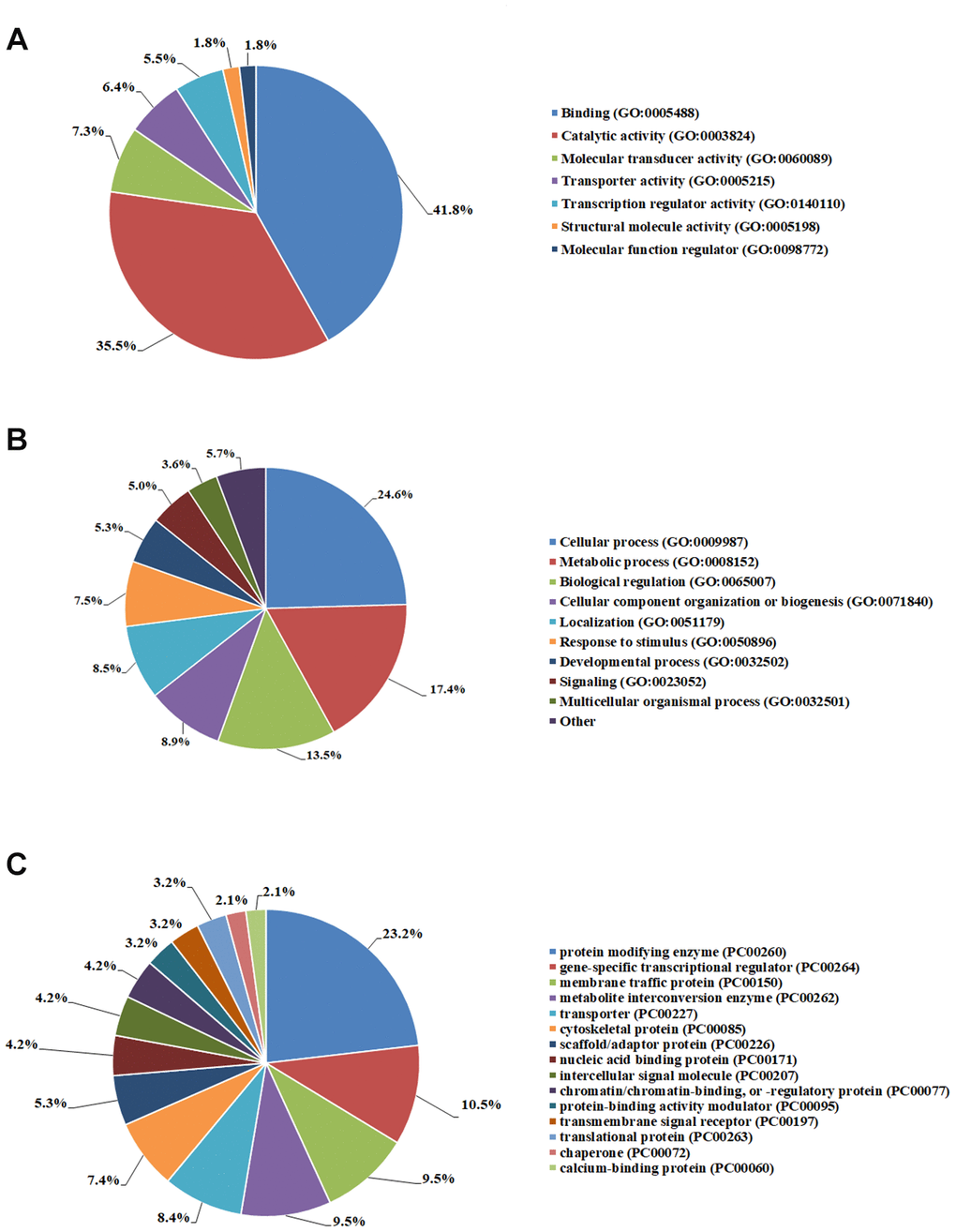 Gene ontology analyses of AF eQTL targeted genes. (A) Molecular function. (B) Biological process. (C) Protein class.