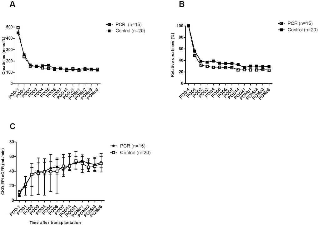 Kidney function of transplant recipients before and after surgery. (A) Serum creatinine showed a trend towards absolute lower levels in the PCR-group throughout the first 14 days after surgery. (B) Relative creatinine levels, calculated using POD-1 as cutoff value, showed a trend as from POD4 up to POD14. (C) Following the creatinine clearance, eGFR also showed a trend towards improvement in the PCR-group throughout the first days after surgery. Values are depicted as median ± interquartile range. PCR = protein and caloric dietary restriction; POD = postoperative day; POMo = postoperative month; eGFR = estimated glomerular filtration rate using the CKD-EPI formula.