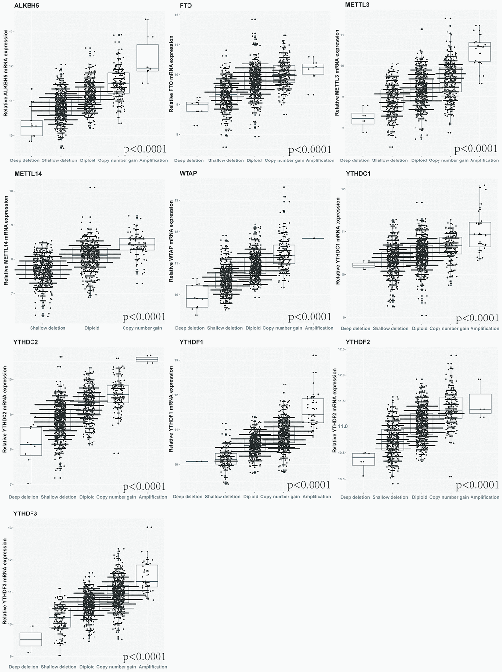 Correlation between different CNV patterns of 10 m6A regulatory genes and mRNA expression level.