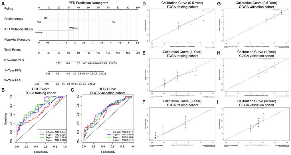 Progression nomogram to predict the 0.5-, 1-, and 3-year PFS probabilities of GBM patients. (A) Nomogram model to predict the survival of GBM patients based on the TCGA training cohort. The prognostic performance of the progression nomogram demonstrated by the ROC curve for predicting the 0.5-, 1-, and 3-year PFS rates in the TCGA training cohort (B) and CGGA validation cohort (C). Calibration curves of the prognostic nomogram for predicting PFS at 0.5, 1, and 3 years in the TCGA (D–F) and CGGA (G–I) cohorts. The actual survival is plotted on the y-axis, and the nomogram-predicted probability is plotted on the x-axis.