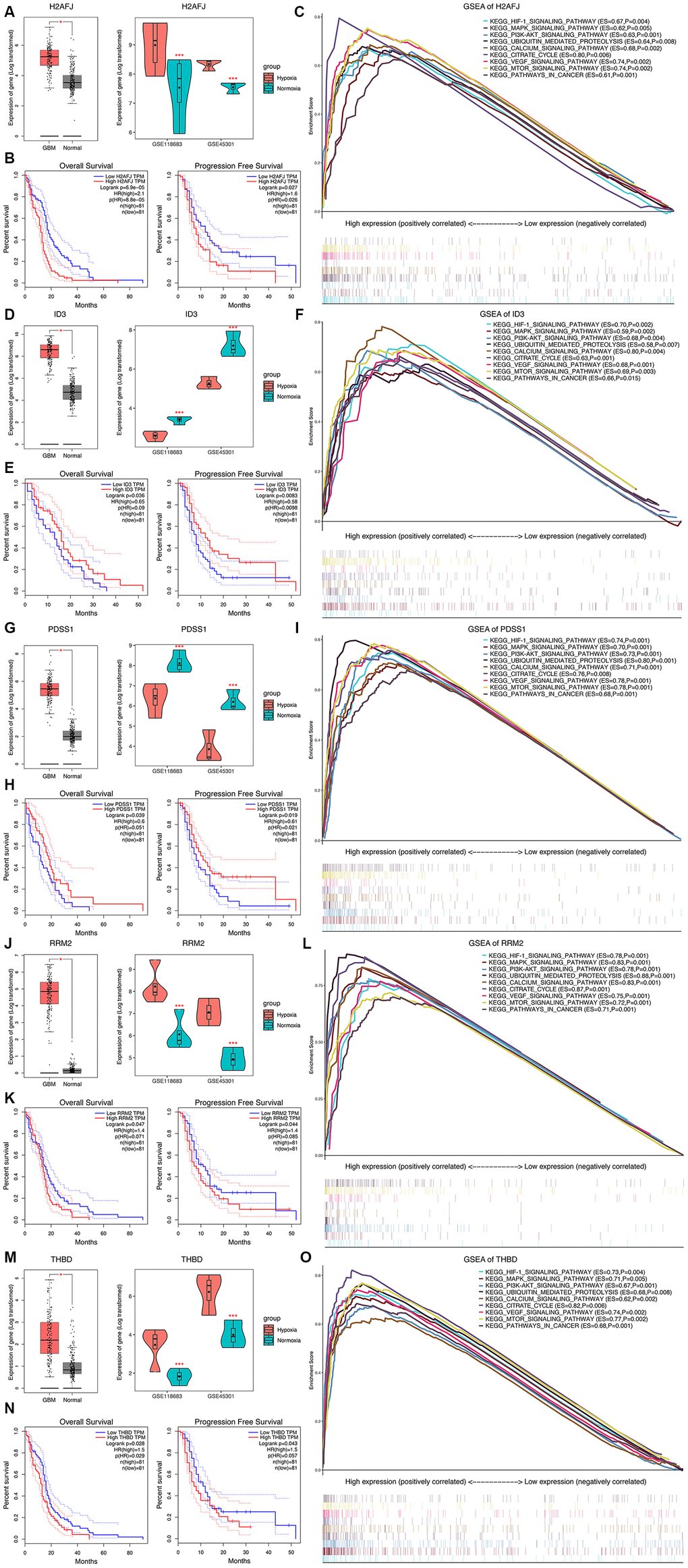 Expression analysis, survival analysis, and gene set enrichment analysis (GSEA) of the 5 HRGs in the hypoxia signature. Expression analysis of H2AFJ (A), ID3 (D), PDSS1 (G), RRM2 (J), and THBD (M). Left panel: Expression levels of the 5 HRGs in 163 GBM samples and 207 normal samples. Right panel: Expression levels of the 5 HRGs in hypoxia and normoxia cultured GBM cells from GSE118683 and GSE45301. Red asterisks mean P K–M) survival analysis of H2AFJ (B), ID3 (E), PDSS1 (H), RRM2 (K), and THBD (N). Left panel: K-M survival analysis was performed to estimate the OS of GBM patients with high and low expression levels of the corresponding HRG. Right panel: (K–M) survival analysis was performed to estimate the PFS of GBM patients with high and low expression levels of the corresponding HRG. GSEA of H2AFJ (C), ID3 (F), PDSS1 (I), RRM2 (L), and THBD (O) in the TCGA GBM cohort. The enriched KEGG pathways of the 5 HRGs are listed in the upper right. ES, enrichment score; P, nominal P value.