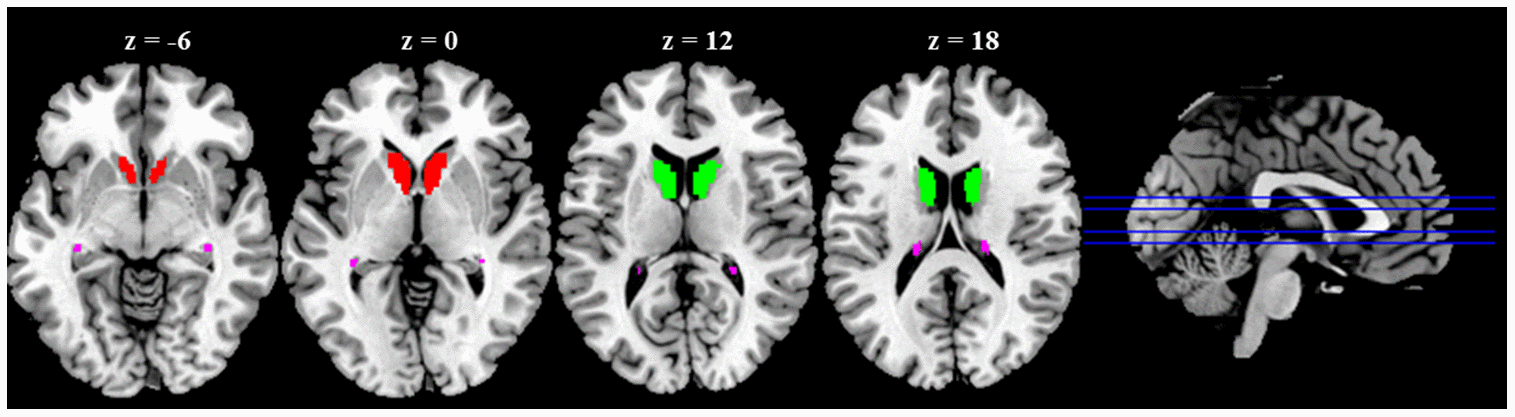 class="figure-viewer-img"