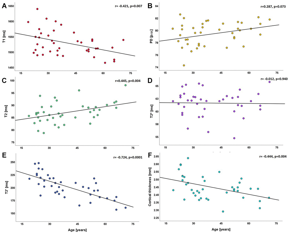 Scatterplots illustrating the relationship between global cortical qMRI parameters/cortical thickness and age. (A) relationship between T1 and age; (B) relationship between PD and age; (C–E) relationships of T2, T2* and T2' with age; (F) relationship between cortical thickness and age. ms: milliseconds; p.u.: percentage units; mm: millimeters.