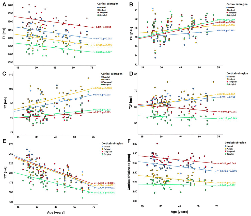 Scatterplots illustrating the relationship between regional cortical qMRI parameters/cortical thickness and age in the cortical subregions (lobes). (A) relationship between T1 and age; (B) relationship between PD and age; (C–E) relationships of T2, T2* and T2' with age; (F) relationship between cortical thickness and age. In each plot, the four different colors denote the respective cortical subregions. ms: milliseconds; p.u.: percentage units; mm: millimeters.