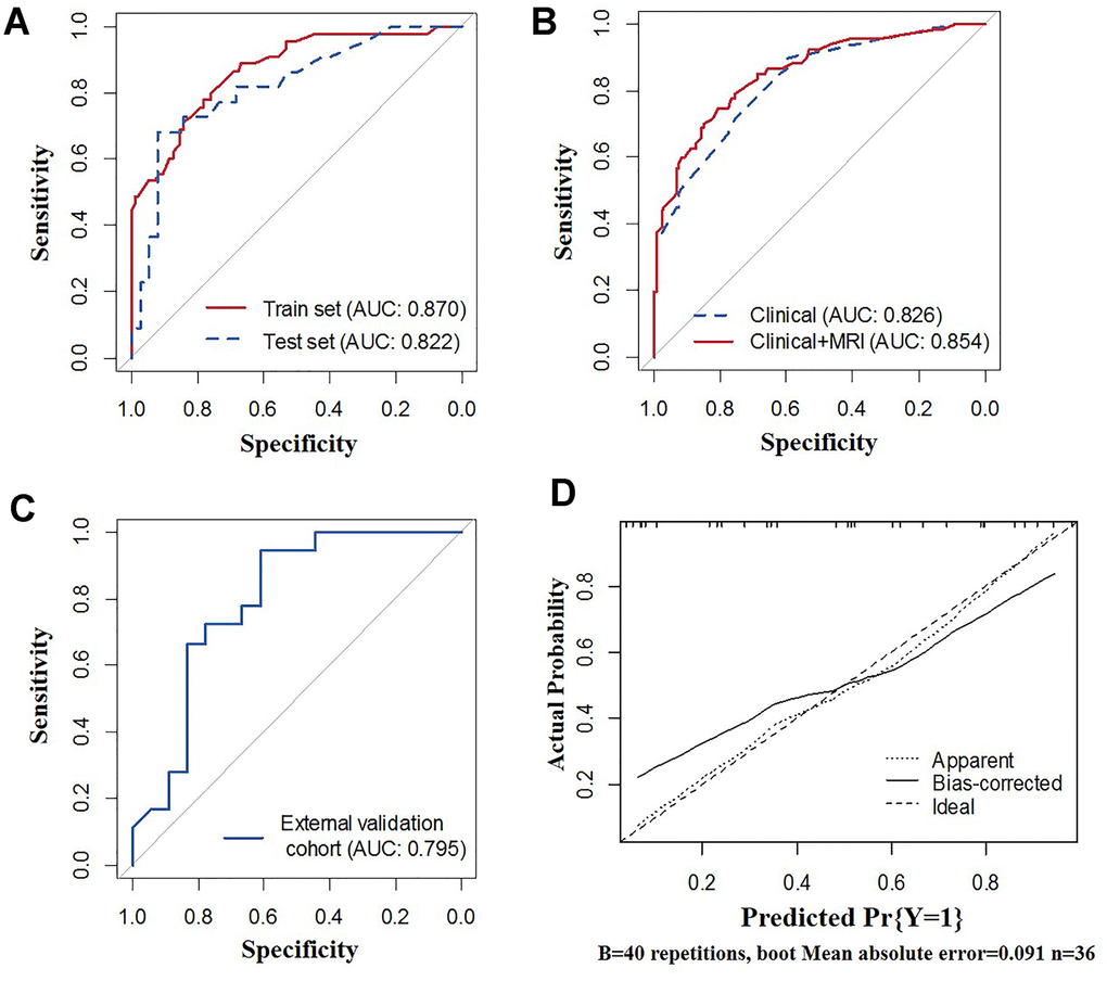 Receiver operating characteristic (ROC) curves of the nomograms. (A) ROC curves of the clinicopathological-feature alone model and multi-feature fusion model for the total population. (B) ROC curves of the multi-feature fusion model in the training set and calibration set. (C) ROC curve of the multi-feature fusion model in the external validation cohort. (D) Calibration curves of the multi-feature fusion model in the external validation cohort.