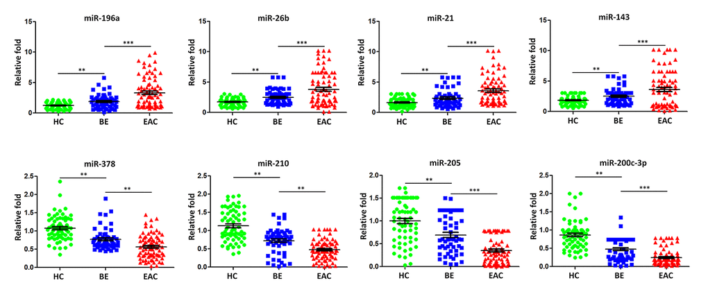 Validation of miRNA array expression using independent samples. TaqMan real-time RT-PCR to validate the expression levels of miR-196a, miR-26b, miR-21, miR-143, miR-378, miR-210, miR-205, and miR-200c-3pusing an independent cohort of 79 EAC patients, 56 BE patients and 66 healthy controls. Data shown are as mean ± SD.