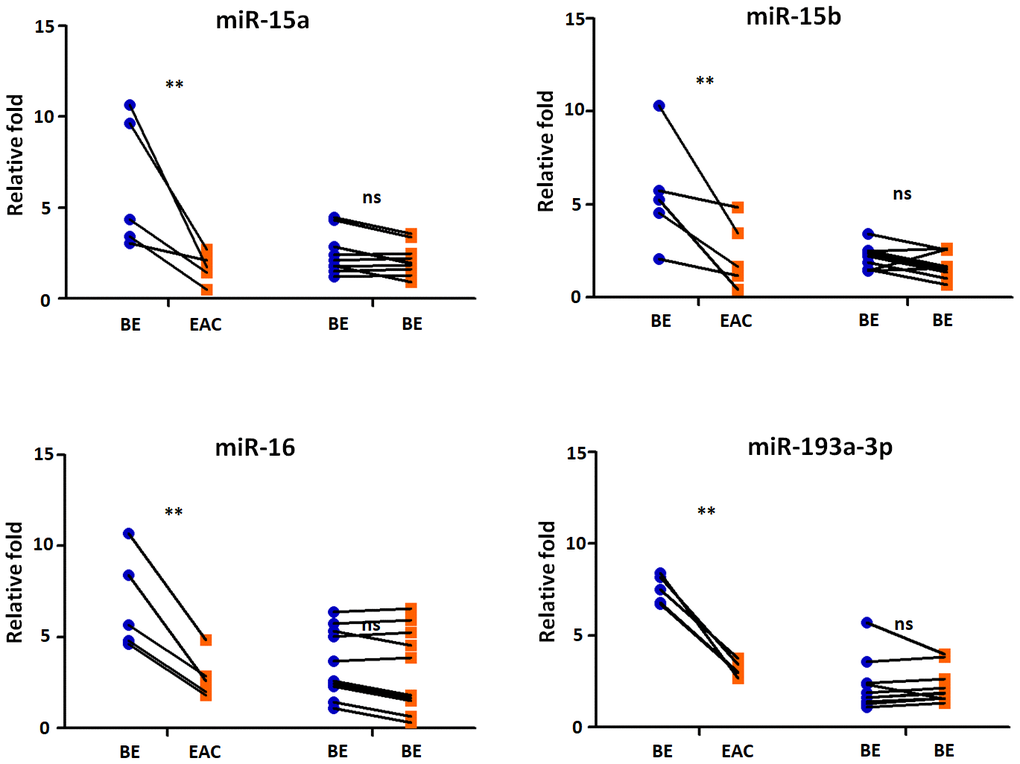 Exosomal miRNAs expression correlates with BE-EAC progression. TaqMan real-time RT-PCR to validate the expression levels of miR-15a, -15b, -16, and -193a-3p using 5 BE-EAC patients and 10 BE-BE patients. Data shown are as mean ± SD.