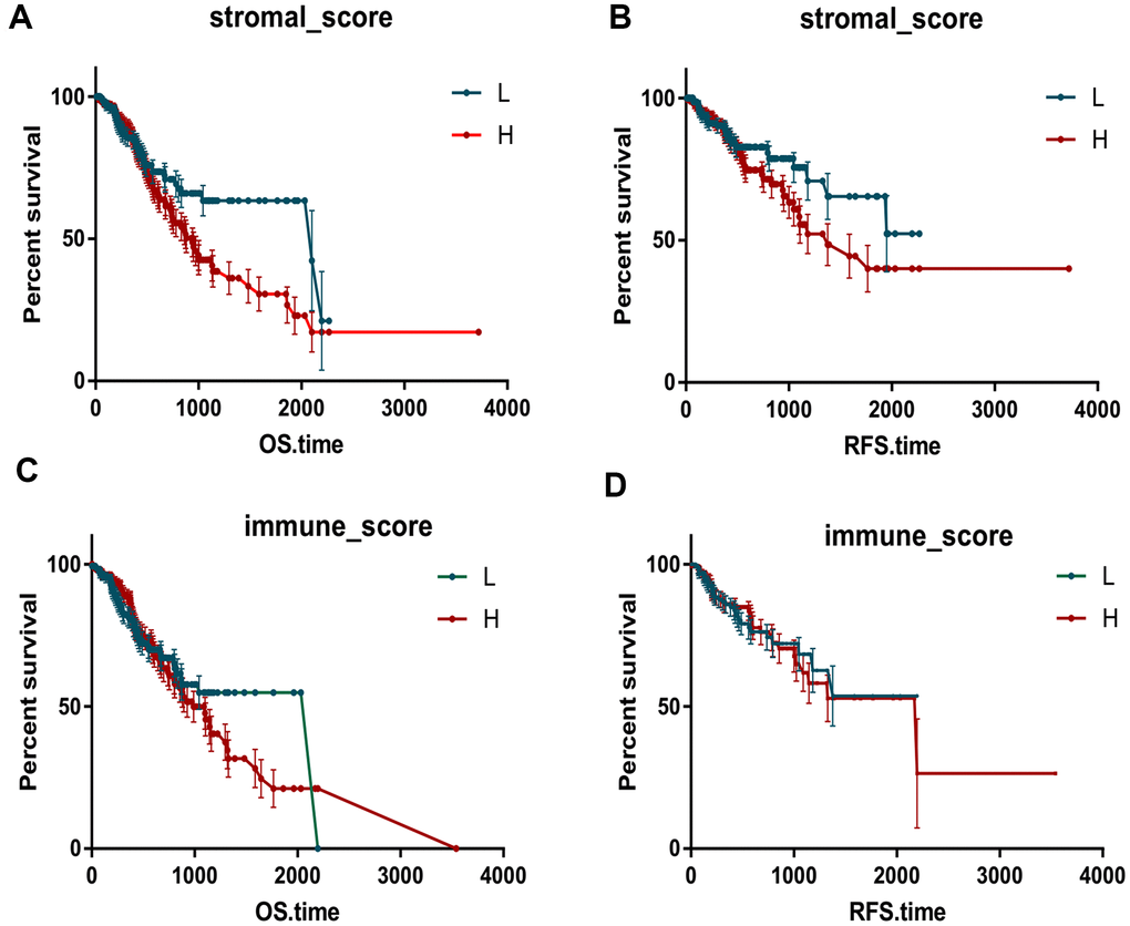 Immune scores and stromal scores are associated with Kaplan-Meier survival in STAD. The OS and RFS curves between high and low groups based on immune scores (A, B). The OS and RFS curves between high and low groups based on immune scores (C, D).
