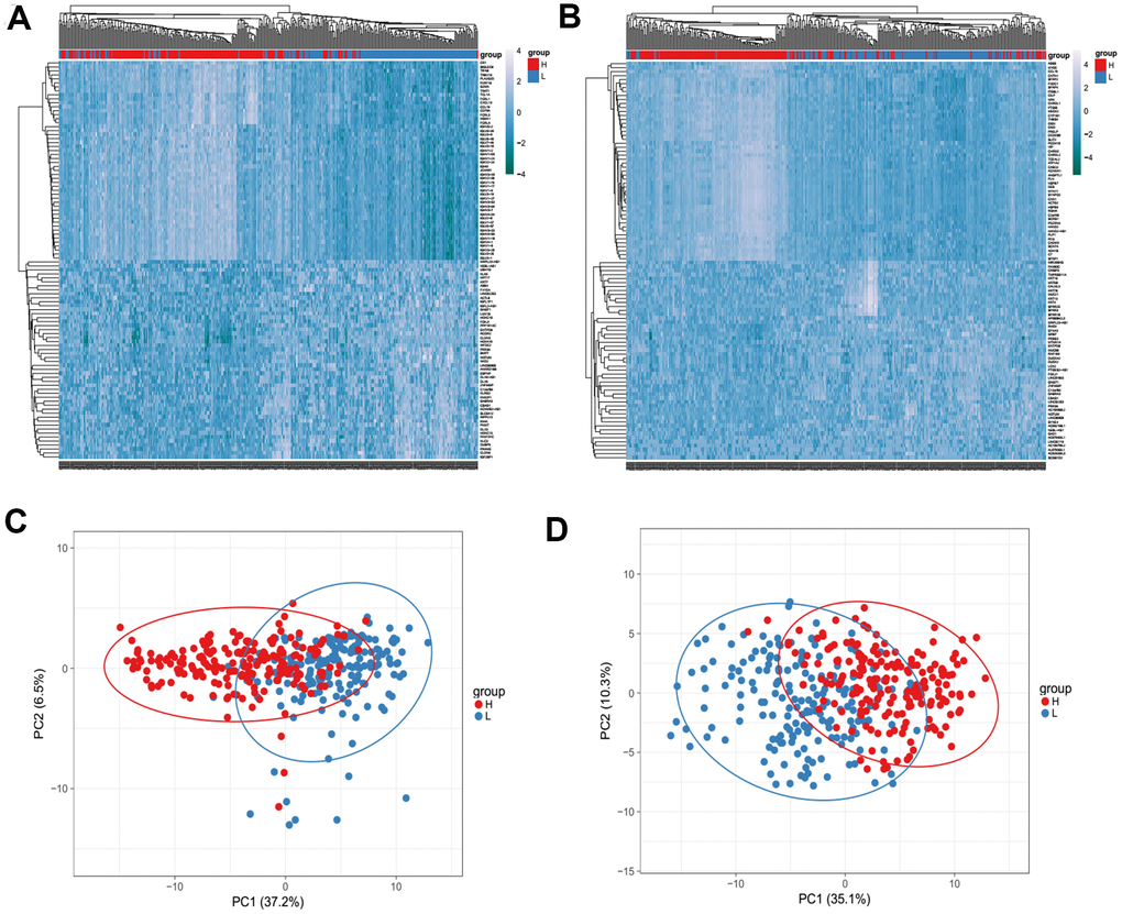 Heatmaps (A, B) and Principal Component Analysis (PCA) (C, D) showed different gene expression profiles in the immune scores of top half (high score) vs. bottom half (low score). P 1.5. Genes with higher expression are shown in red, lower expression are shown in blue.