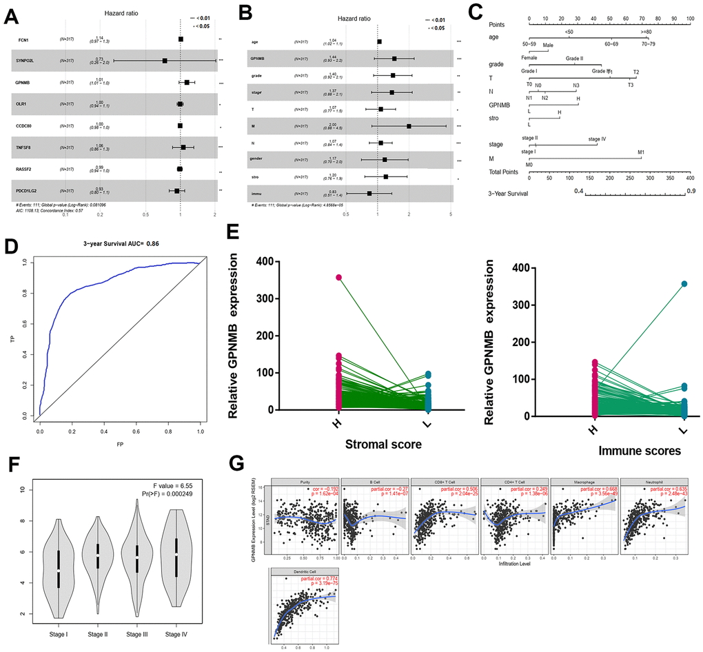 Multivariate Cox regression analyses among the hub genes. (A) and related clinical characteristics respectively (B). The prognostic nomogram that integrated all significant independent factors from the multivariate analysis for OS in the training cohort (C). The RCO curve area evaluating the prognostic nomogram for OS prediction was 0.860 (D). The relate GPNMB expression between high and low immune scores (E). The different expression of GPNMB in STAD with different stage features (F). The correlation of GPNMB expression with immune infiltration level in STAD via TIMER (G).