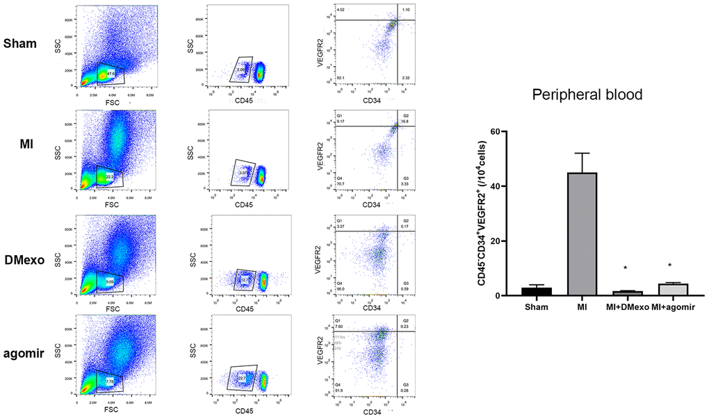 The percentage of CD45-CD34+VEGFR2+EPCs in the peripheral blood 24 hours post MI among groups. The quantitative results were shown in the right. *p