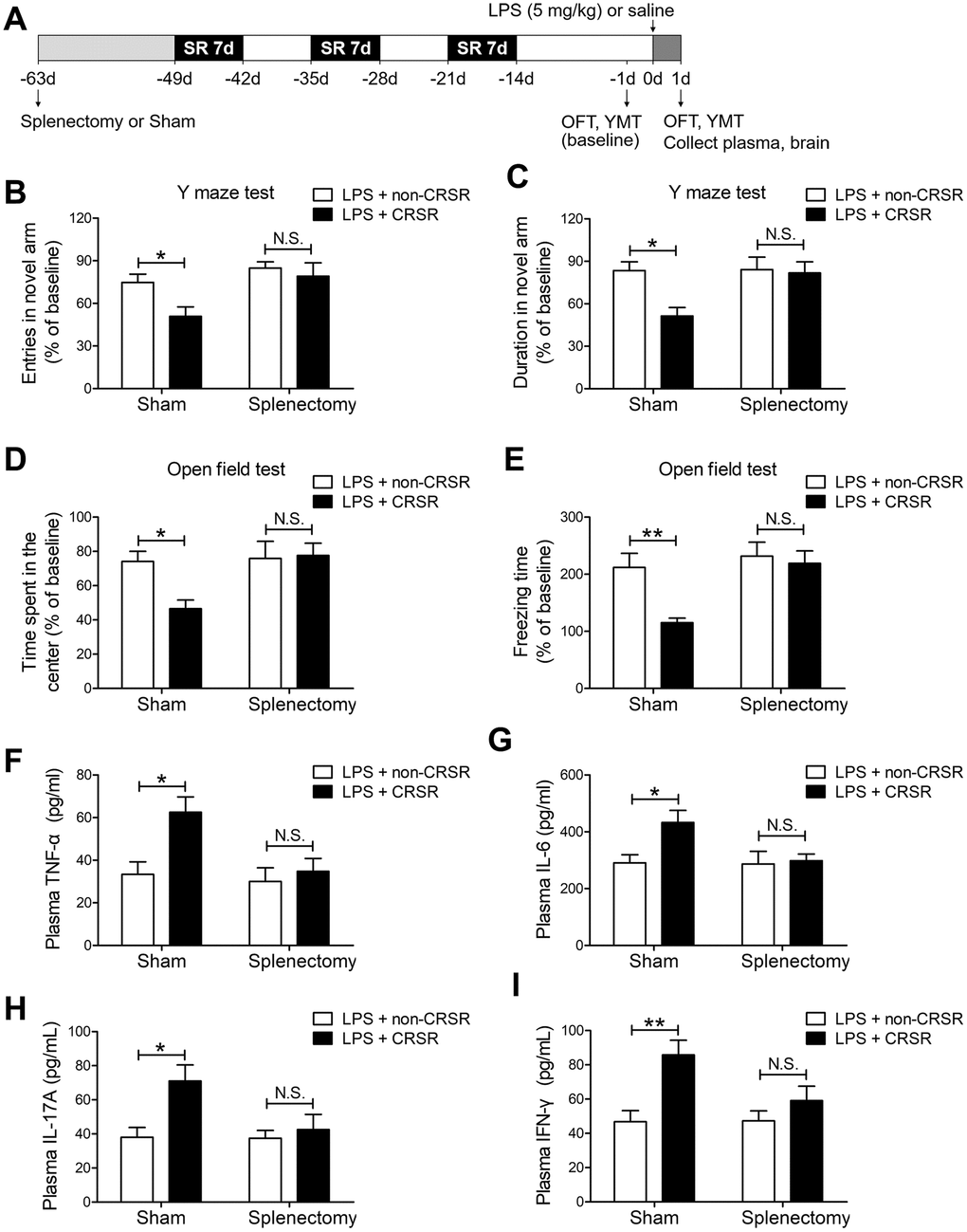 The spleen mediates the enhancing effects of chronic and repeated short-term sleep restriction (CRSR) on LPS-induced cognitive deficits, anxiety-like behavior, and systemic inflammation. (A) Experimental schematic. Splenectomy or sham-splenectomy was performed 14 days prior to the first cycle of sleep restriction. In the Y maze test (YMT), the number of entries (B) and time spent in the novel arm (C) were assessed in each group 1 day prior to LPS treatment as a baseline and 2 days after LPS treatment. Splenectomy blocked CRSR-mediated exacerbation of LPS-induced decreases in the number of entries into the novel arm and time spent in the novel arm. In the OFT, time spent in the center (D) and freezing time (E) were also assessed in each group 1 day prior to LPS treatment as a baseline and 2 days after LPS treatment. Splenectomy blocked CRSR-mediated exacerbation of LPS-induced decreases in time spent in the center and freezing time. Plasma was collected 24 hours after LPS treatment for enzyme linked immunosorbent assay (ELISA) detection of TNF-α (F), IL-6 (G), IL-17A (H), and IFN-γ (I). Splenectomy blocked CRSR-mediated exacerbation of LPS-induced increases in plasma TNF-α, IL-6, IL-17A, and IFN-γ levels. Data represent means ± SEM, n = 6; *P **P 